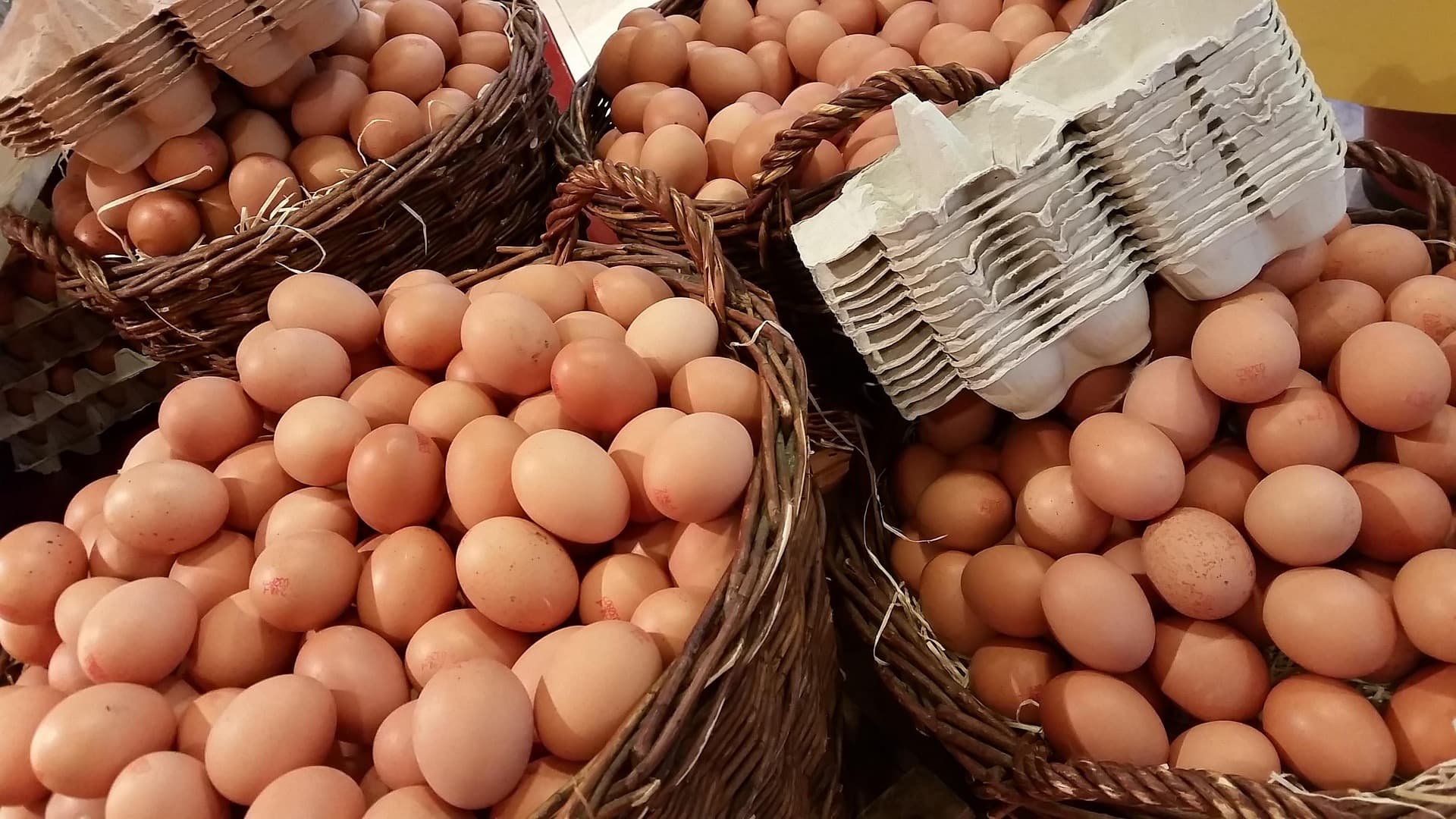 Organic Eggs